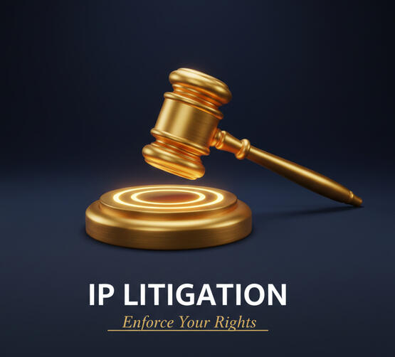 Legal (Litigation & Enforcement) Representation in intellectual property infringement matters, including proceedings for injunctive relief before appropriate judicial and quasi-judicial forums.
